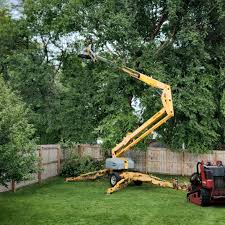 Best Palm Tree Trimming  in Dallas, GA