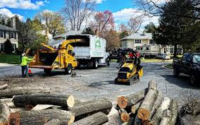 Best Arborist Consultation Services  in Dallas, GA